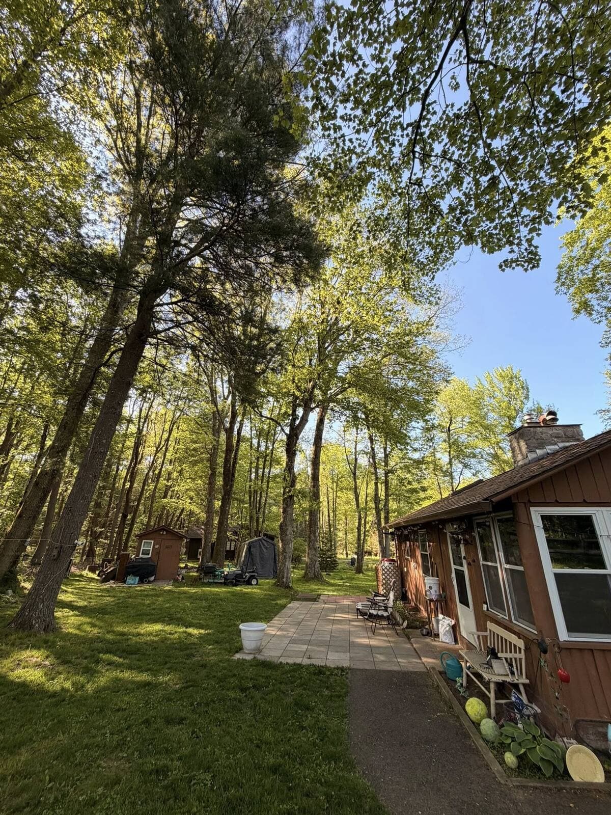 May be an image of grass and tree