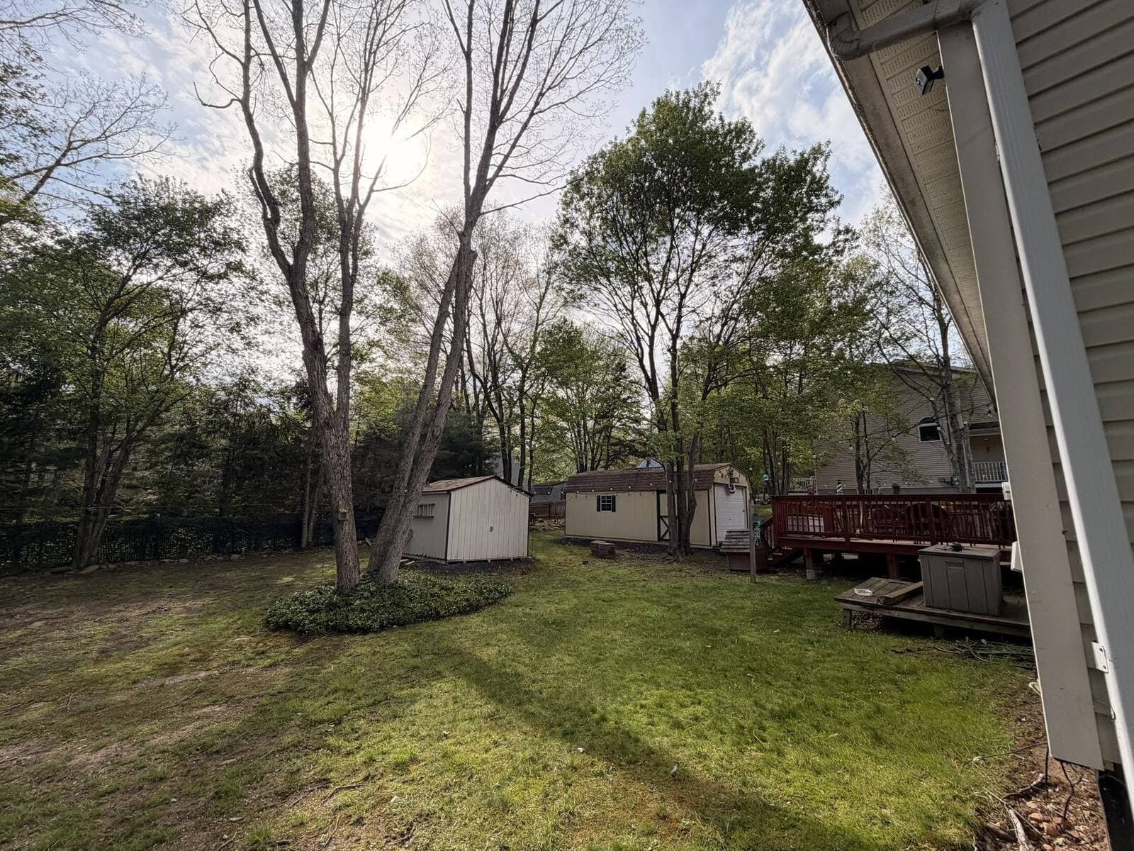May be an image of tree and grass
