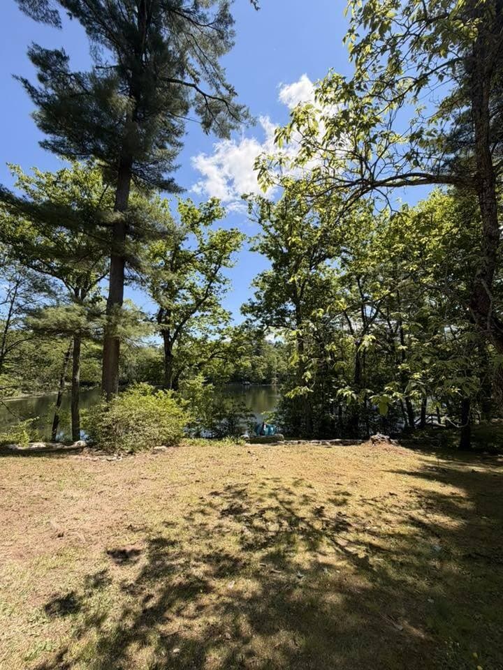 Tree Trimming