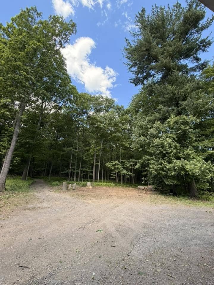 Land Clearing