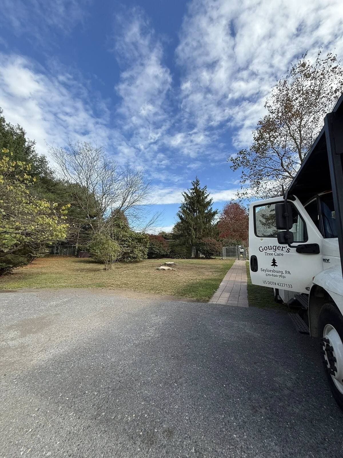 Spruce removal in Saylorsburg PA — after