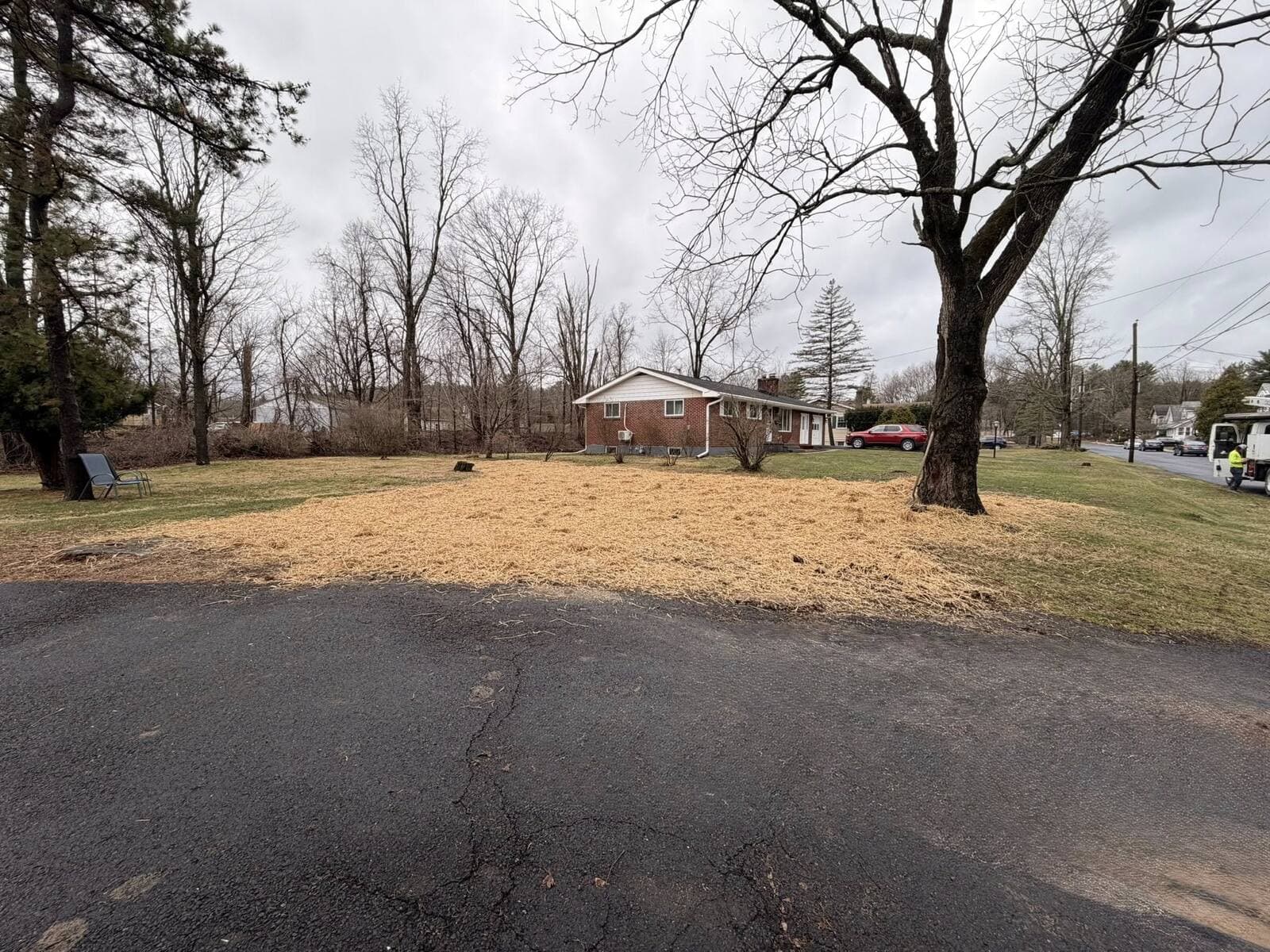 May be an image of grass and tree