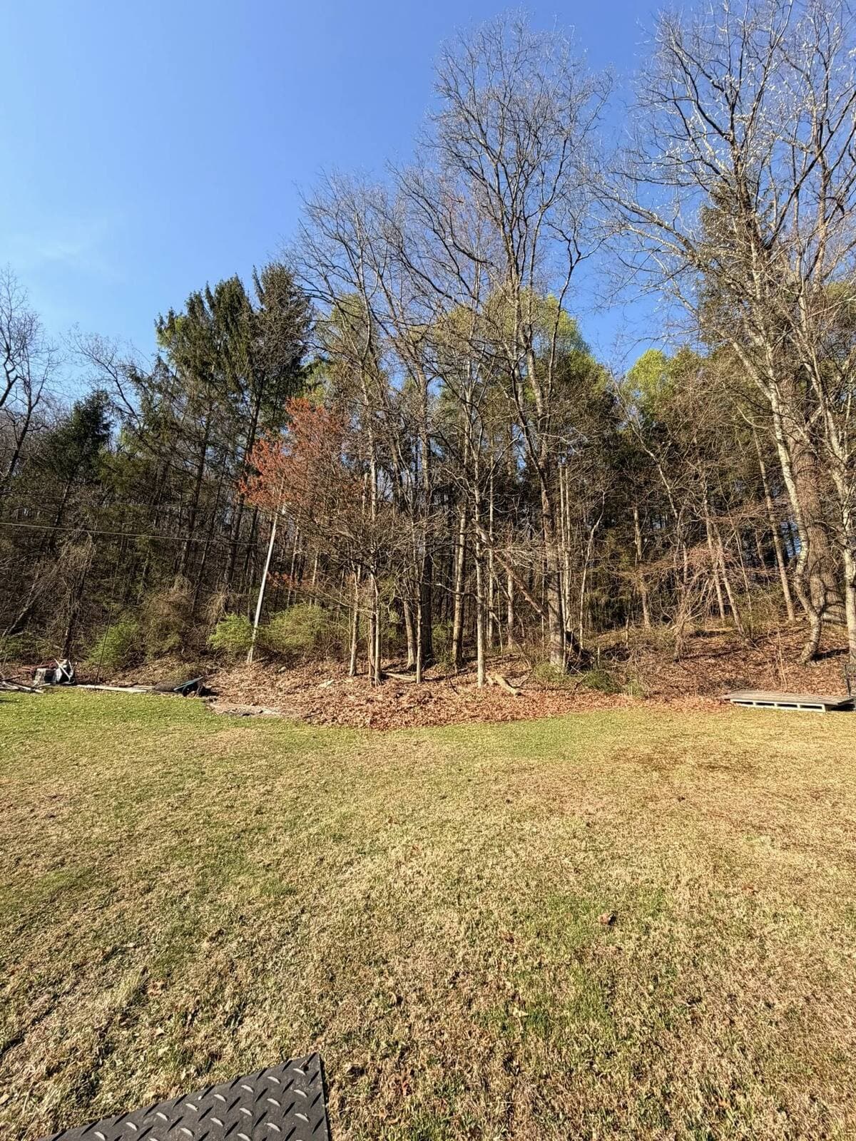 Stump Grinding