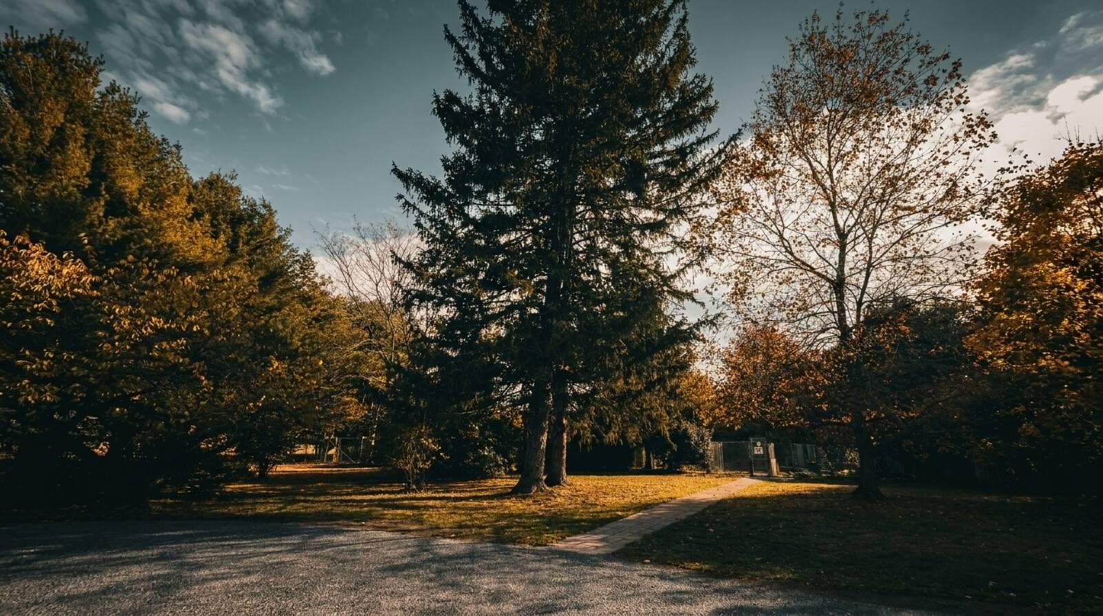 Best Time of Year for Tree Removal in the Poconos