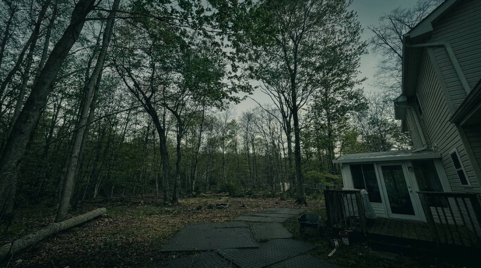 Does Homeowners Insurance Cover Tree Removal in Pennsylvania?