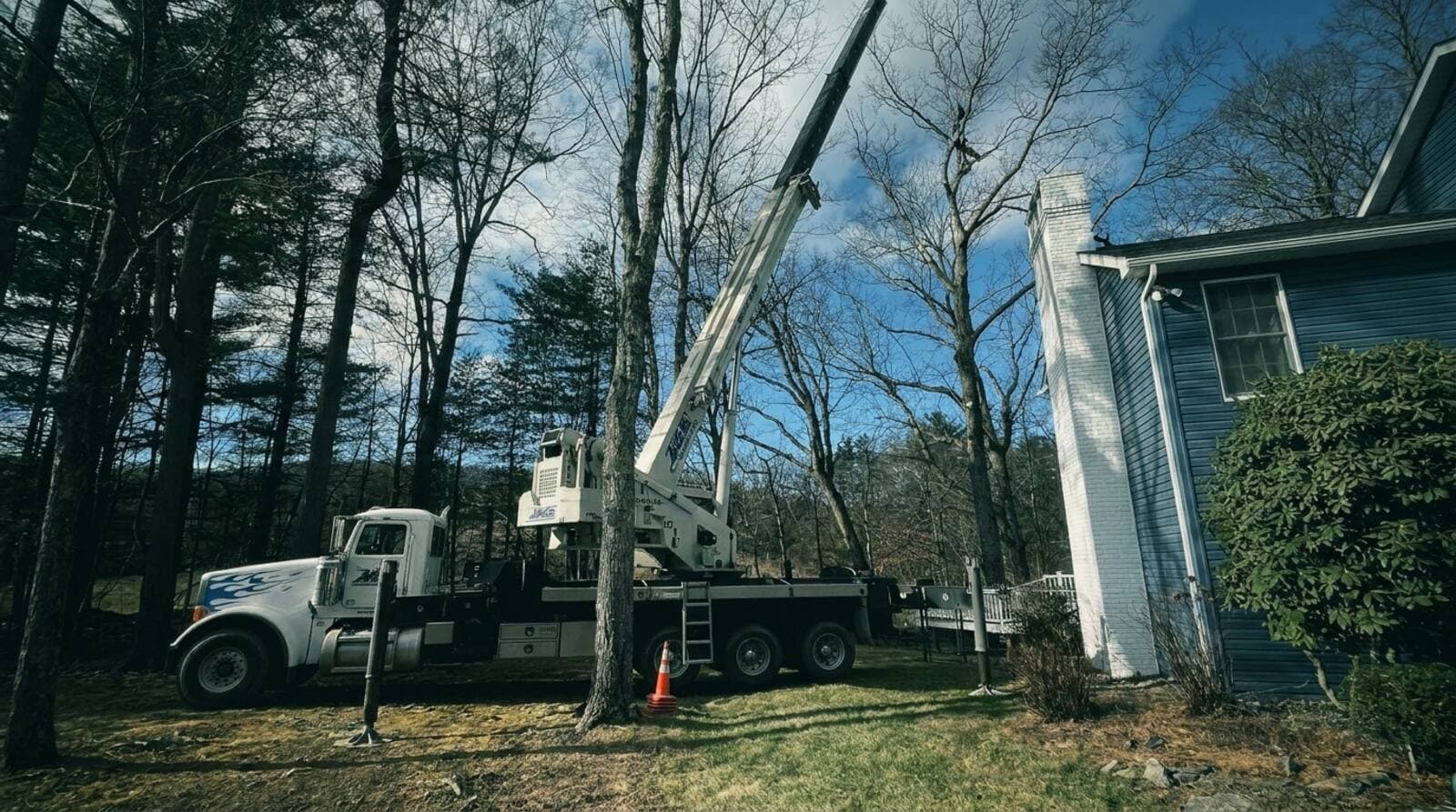 How Much Does Tree Removal Cost in Pennsylvania? (2026 Prices)